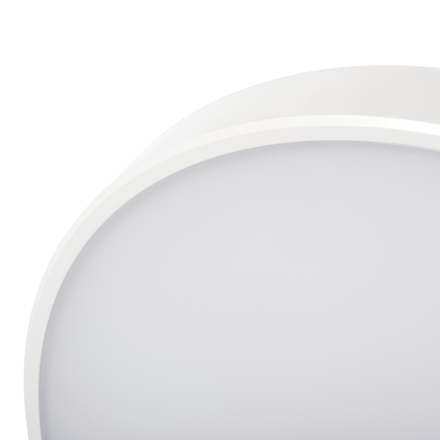 LED loftlampe dæmpbar PLAFON LED/20W/230V 3000-6500K Wi-Fi hvid