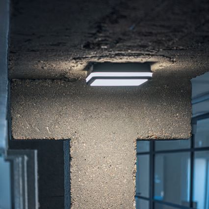 Udendørs LED loftlampe med bevægelsessensor BENO LED/24/30W/230V 3000/3500/4000K IP65 antracit kantet