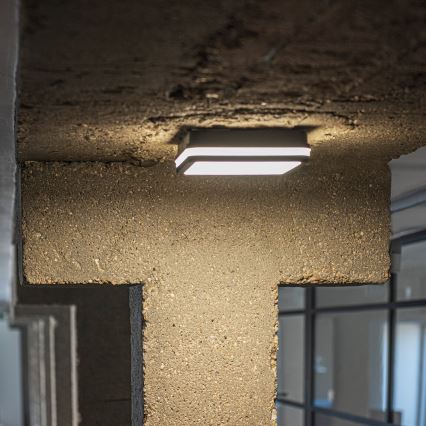 Udendørs LED loftlampe med bevægelsessensor BENO LED/12/18W/230V 3000/3500/4000K IP65 antracit kantet
