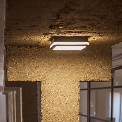 Udendørs LED loftlampe med bevægelsessensor BENO LED/12/18W/230V 3000/3500/4000K IP65 antracit kantet