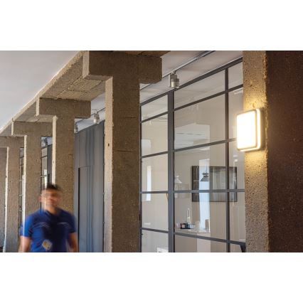Udendørs LED loftlampe med bevægelsessensor BENO LED/12/18W/230V 3000/3500/4000K IP65 antracit kantet