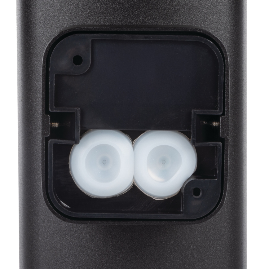 Udendørs væglampe ZEVI 2xGU10/10W/230V IP54 sort