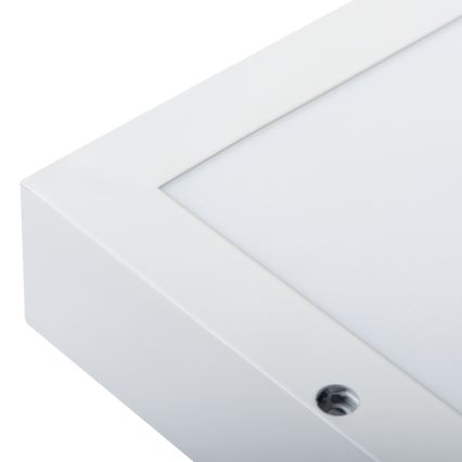 LED påbygningspanel BLINGO AIO LED/40W/230V 3000/4000/6500K 60x60 cm CRI 90