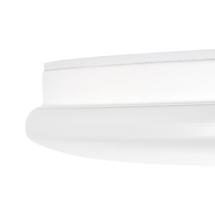 LED loftlampe til badeværelset ENELO LED/10W/230V Ø 24 cm IP44