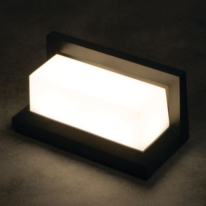 LED udendørs væglampe LERTO, 12W/230V, IP54, sort