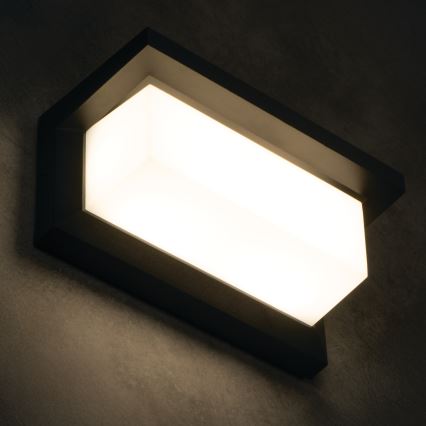 LED udendørs væglampe LERTO, 12W/230V, IP54, sort