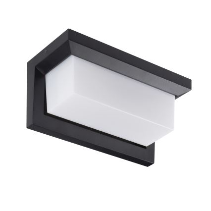 LED udendørs væglampe LERTO, 12W/230V, IP54, sort
