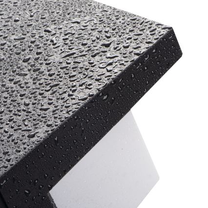 LED udendørs væglampe LERTO, 12W/230V, IP54, sort