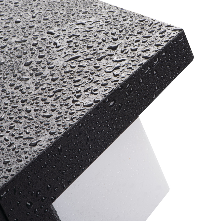 LED udendørs væglampe LERTO, 12W/230V, IP54, sort