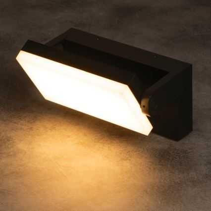 LED udendørs væglampe XERTO LED/20W/230V 3000/4000/6500K IP65 sort