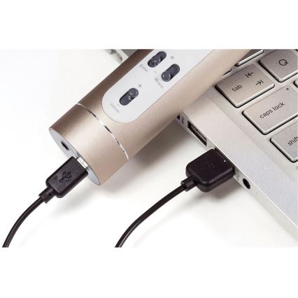 Karaokemikrofon 6W/5V 1500 mAh Bluetooth guld