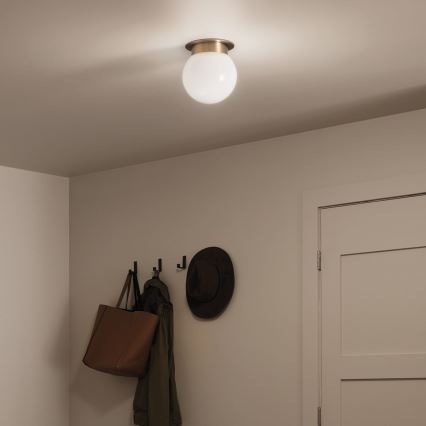 Kichler KL-ALBERS-F-G-CPZ-Loftlampe ALBERS 1xE27/40W/230V Ø 20,3 cm guldfarvet