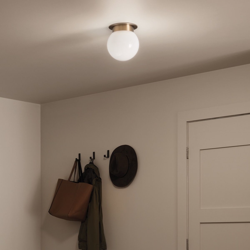 Kichler KL-ALBERS-F-G-CPZ-Loftlampe ALBERS 1xE27/40W/230V Ø 20,3 cm guldfarvet