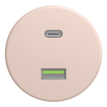 Kliklap - Retro USB-udtag A+C, rammeløs, gammelrosa