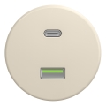Kliklap - Retro USB-udtag A+C uden ramme beige