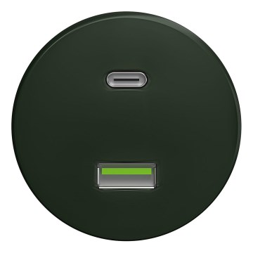 Kliklap - Vintage USB-stik A+C grøn