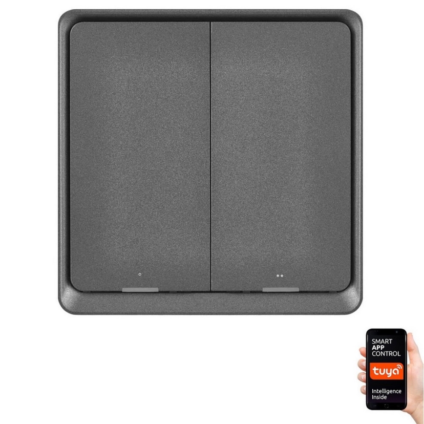 Kontakt 2 knapper GoSmart 1xCR2430 Tuya sort