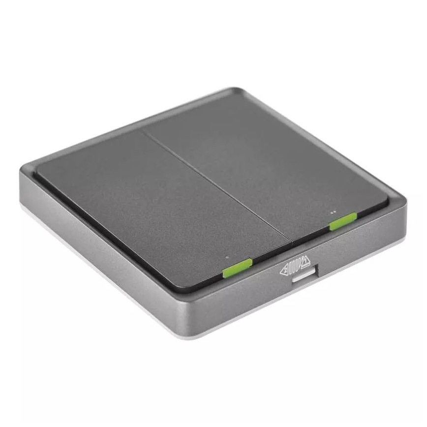 Kontakt 2 knapper GoSmart 1xCR2430 Tuya sort