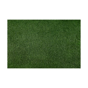 Kunstgræs BELLIN 200x400 cm 18 mm grøn