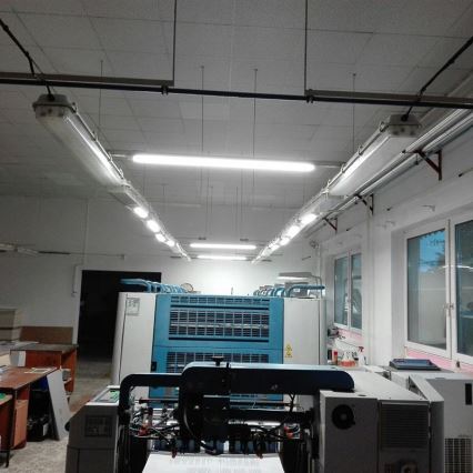 LED arbejdslampe LED/36W/230V IP40