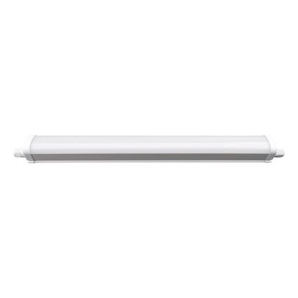 LED arbejdslampe LED/40W/180-265V IP65