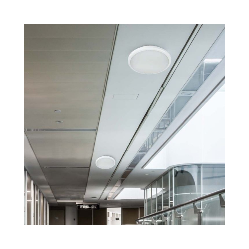LED badeværelseslampe med sensor LED/20W/230V 3000/4000/6000K IP66 diameter 30 cm
