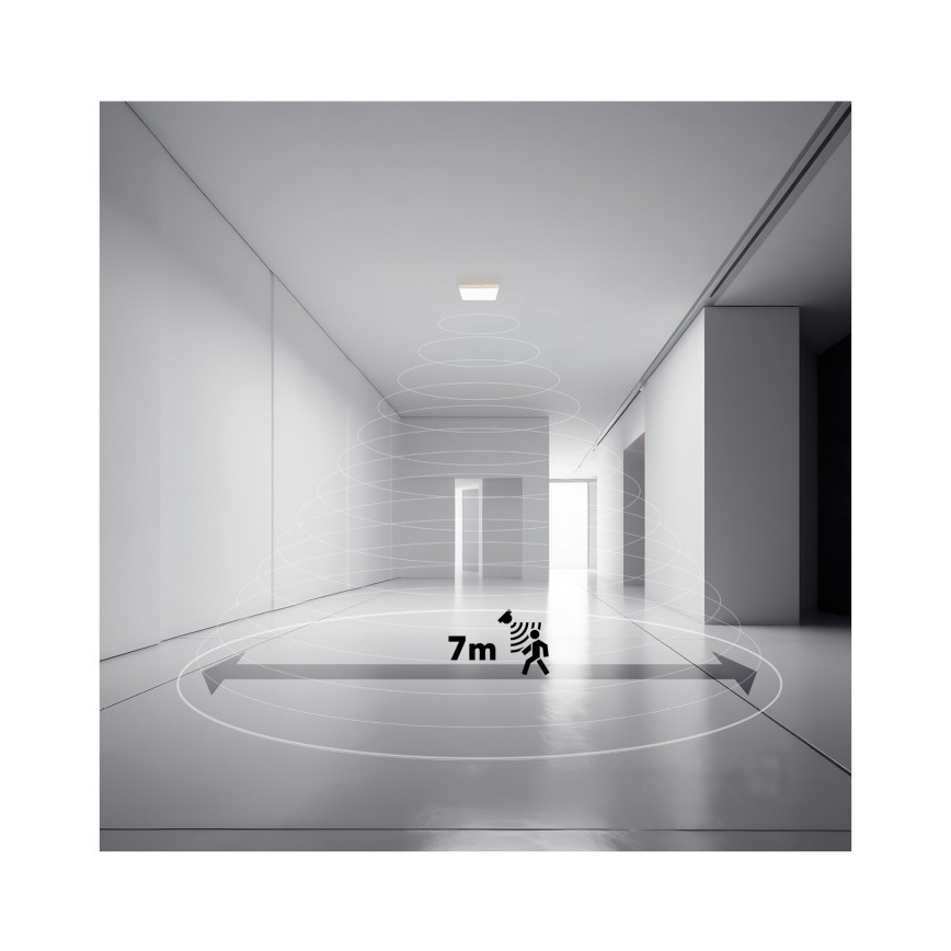 LED badeværelseslampe m. bevægelses- og skumringssensor NIVERA LED/12W/230V IP54 3000/4000/6000K 22,5x22,5 cm sort + fjernbetjening
