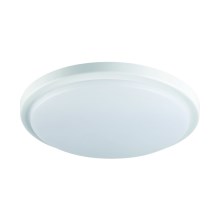 LED badeværelseslampe med sensor ORTE LED/18W/230V IP54