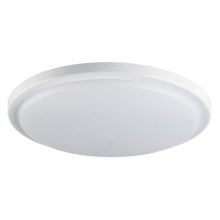 LED badeværelseslampe med sensor ORTE LED/24W/230V IP54