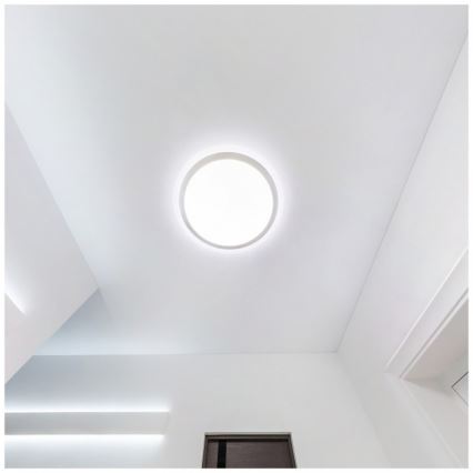 LED loftlampe til badeværelse DEFENDER LED/12/18/24W/230V 3000/4000/6500K IP65 Ø 30 cm hvid