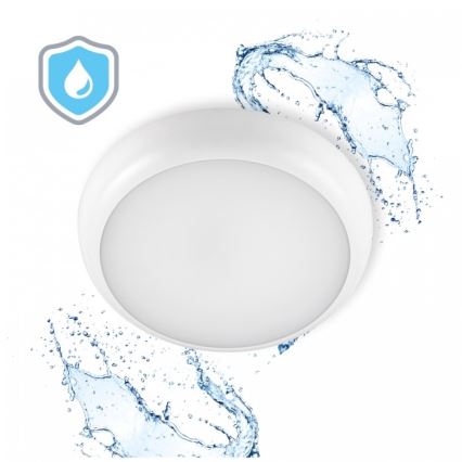 LED loftlampe til badeværelse DEFENDER LED/12/18/24W/230V 3000/4000/6500K IP65 Ø 30 cm hvid