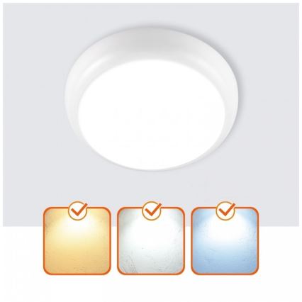 LED loftlampe til badeværelse DEFENDER LED/12/18/24W/230V 3000/4000/6500K IP65 Ø 30 cm hvid