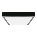 LED Badeværelsesloftlampe LED/30W/230V 6500K IP44 42x42 cm sort