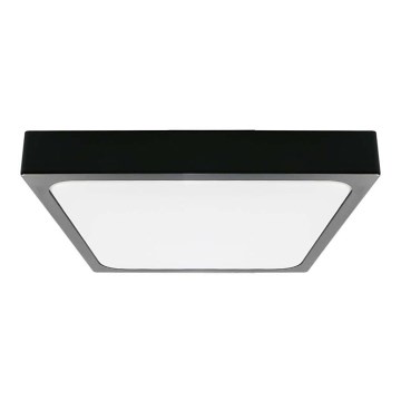 LED Badeværelsesloftlampe LED/30W/230V 6500K IP44 42x42 cm sort