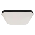 LED Badeværelsesloftlampe med sensor NEMO LED/16W/230V IP44 sort
