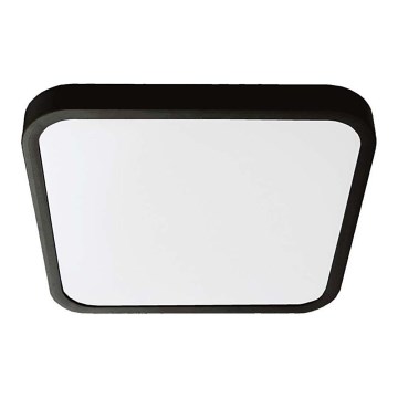 LED Badeværelsesloftlampe SAMSUNG CHIP LED/24W/230V IP44 3000K 29x29 cm sort
