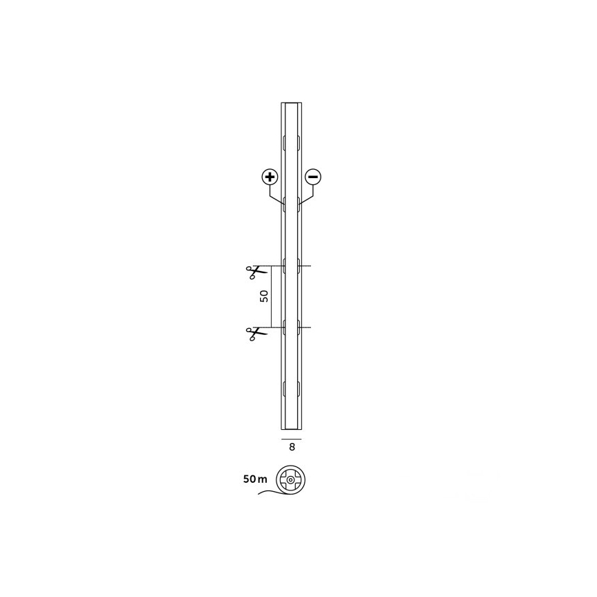 LED-bånd TRAMO LED/500W/24V 50 m 6500K