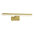 LED billedlys PINTO LED/7W/230V guld
