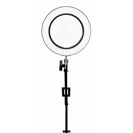 LED bordlampe dæmpbar med forstørrelsesglas LED/10W/230V 3000/4500/6000K