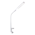 LED bordlampe dæmpbar PRIM LED/10W/230V 3000-6000K hvid