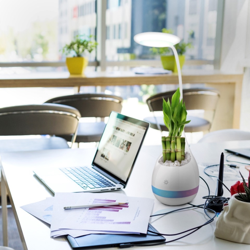 LED bordlampe dæmpbar RGB LED/4W/5V