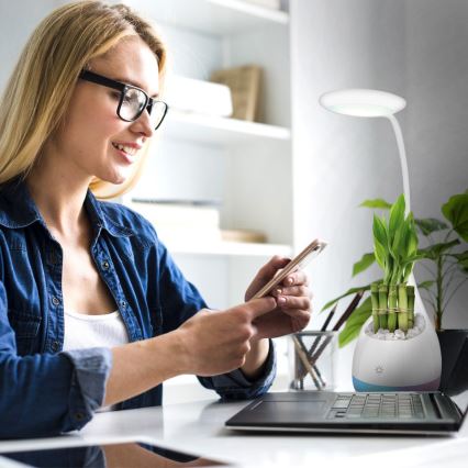 LED bordlampe dæmpbar RGB LED/4W/5V