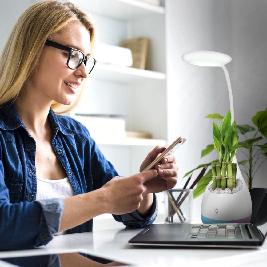 LED bordlampe dæmpbar RGB LED/4W/5V