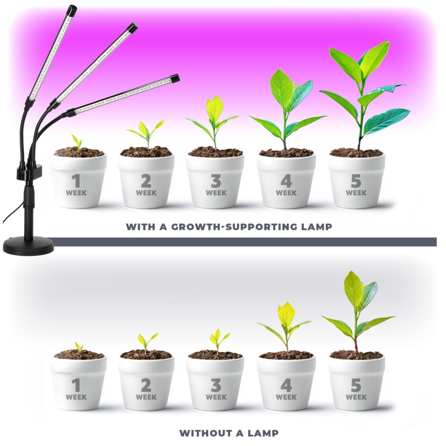 LED Dæmpbar flexible bordlampe til plantevækst VITARO 3xLED/10W/230V sort
