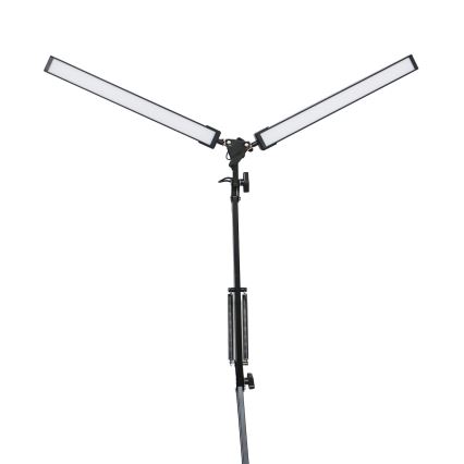 LED bordlampe med klemme 2xLED/10W/230V 2800-6800K