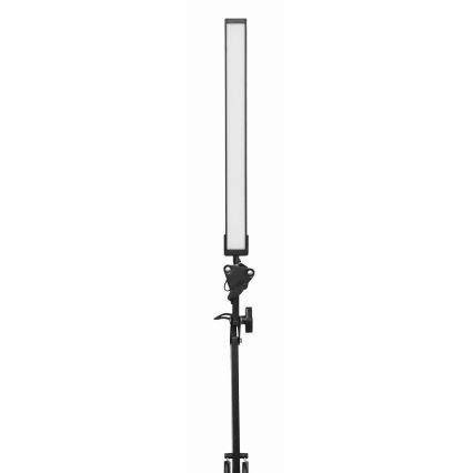 LED bordlampe med klemme LED/10W/230V 2800-6800K