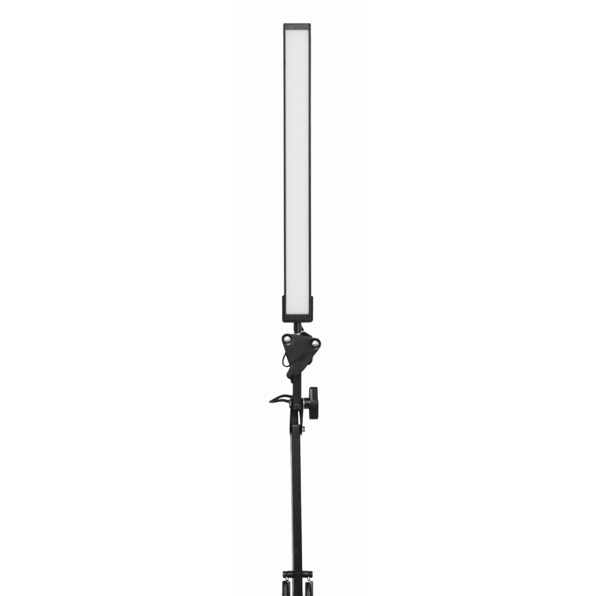 LED bordlampe med klemme LED/10W/230V 2800-6800K