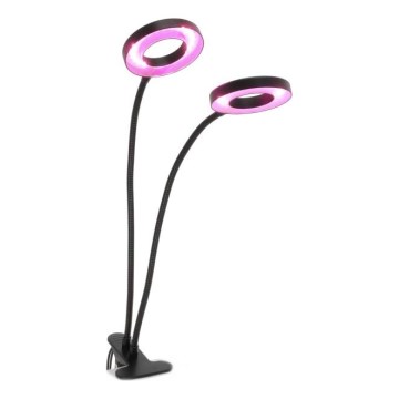LED bordlampe med klemme til plantevækst dæmpbar og fleksibel VITARO 2xLED/4W/230V sort