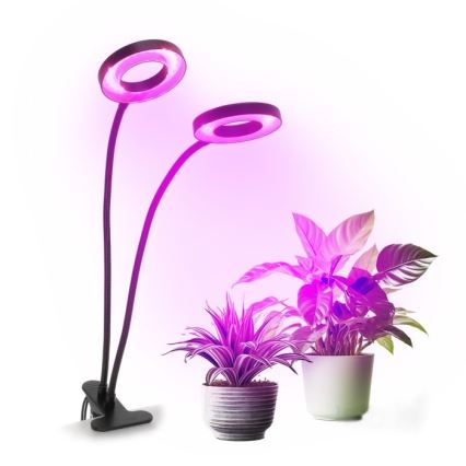 LED bordlampe med klemme til plantevækst dæmpbar og fleksibel VITARO 2xLED/4W/230V sort