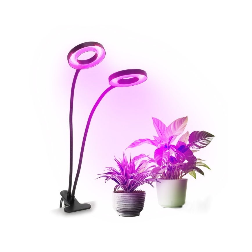 LED bordlampe med klemme til plantevækst dæmpbar og fleksibel VITARO 2xLED/4W/230V sort